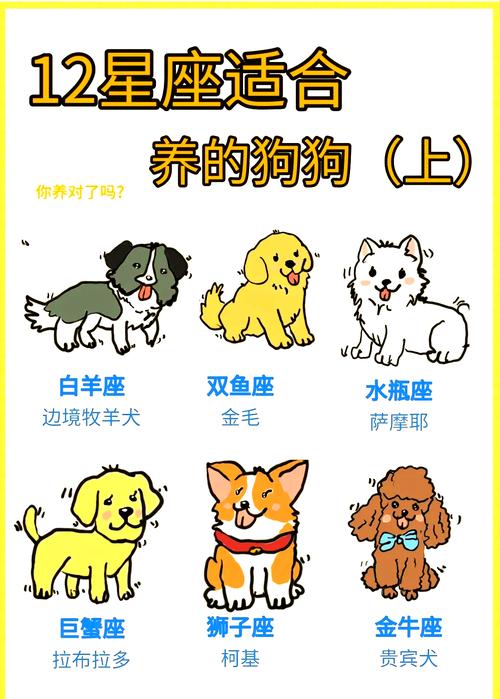 看空间时间家庭,养狗前多考虑!(宠物狗选择) 看空间时间家庭,养狗前多考虑!(宠物狗选择)
