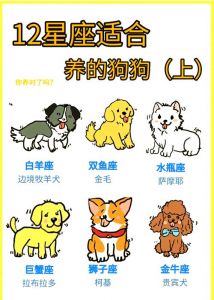 看空间时间家庭，养狗前多考虑！（宠物狗选择）