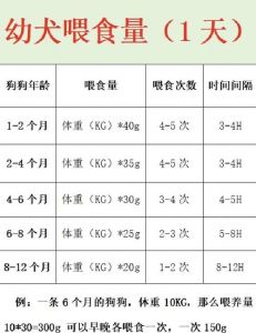 温水少量少食多餐（两个月的狗狗一次喂食多少羊奶粉合适）