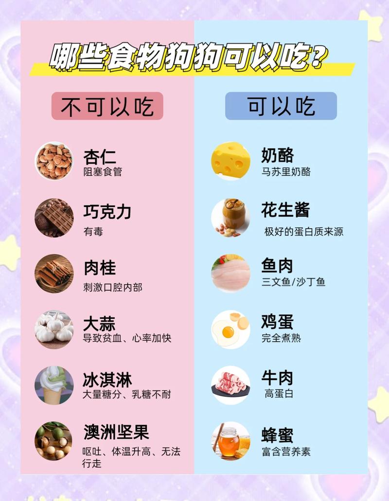 警惕！巧克力葡萄洋葱等食物对狗狗有致命危险（狗什么东西不能吃）