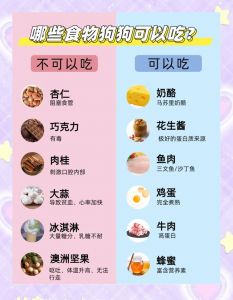 警惕！巧克力葡萄洋葱等食物对狗狗有致命危险（狗什么东西不能吃）
