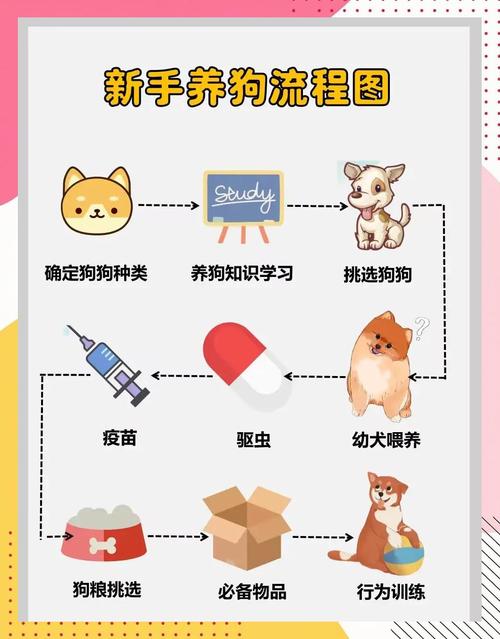 十年养狗责任大,温顺品种备好物,科学喂养勤护理,耐心规律收获爱(如何饲养宠物狗) 十年养狗责任大,温顺品种备好物,科学喂养勤护理,耐心规律收获爱(如何饲养宠物狗)