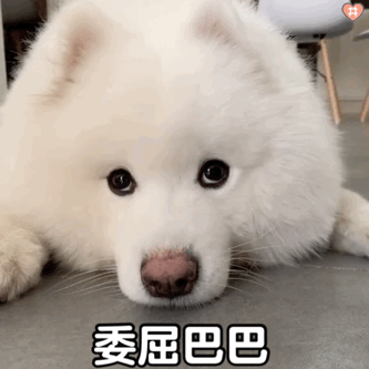 动图表情包受欢迎,AI知识助未来适应(小狗动图表情包) 动图表情包受欢迎,AI知识助未来适应(小狗动图表情包)
