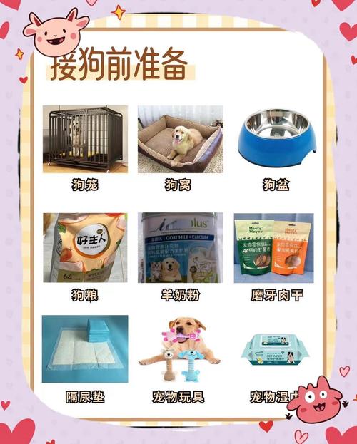 科学断奶喂奶粉幼犬粮,幼犬饮食健康指南(一个多月的小狗怎么养) 科学断奶喂奶粉幼犬粮,幼犬饮食健康指南(一个多月的小狗怎么养)