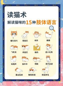 北方方言中的宠物昵称与地域文化（猫子狗子是哪里的方言）