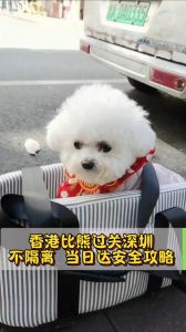 小狗闯关，带听不见的狗狗冒险！（小狗过关）
