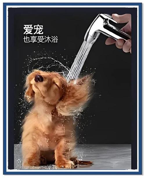 狗狗专用沐浴露,呵护健康皮肤(狗狗沐浴露和人的区别) 狗狗专用沐浴露,呵护健康皮肤(狗狗沐浴露和人的区别)