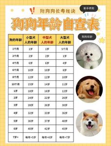 科学喂养养出长寿狗（养狗真的不能超过8年吗）