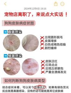 狗狗皮癣怎么办？干燥护理是关键！（狗子长皮癣怎么办）