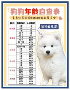 小狗认主早，摇尾蹭肚心知肚明（小狗几个月开始认主人）