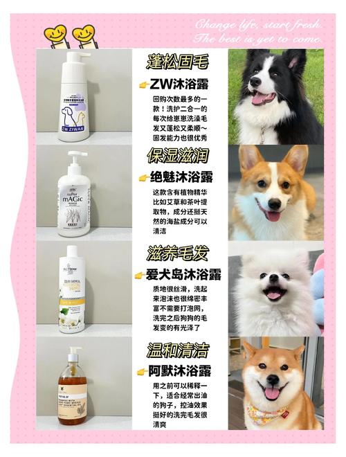 选对狗狗沐浴露,皮肤毛发都舒坦!(狗狗可以用的沐浴露) 选对狗狗沐浴露,皮肤毛发都舒坦!(狗狗可以用的沐浴露)