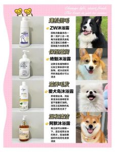 选对狗狗沐浴露，皮肤毛发都舒坦！（狗狗可以用的沐浴露）