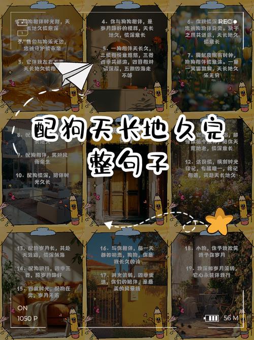 狗狗不愿待笼子?理解它的渴望!(狗子换了笼子文案) 狗狗不愿待笼子?理解它的渴望!(狗子换了笼子文案)
