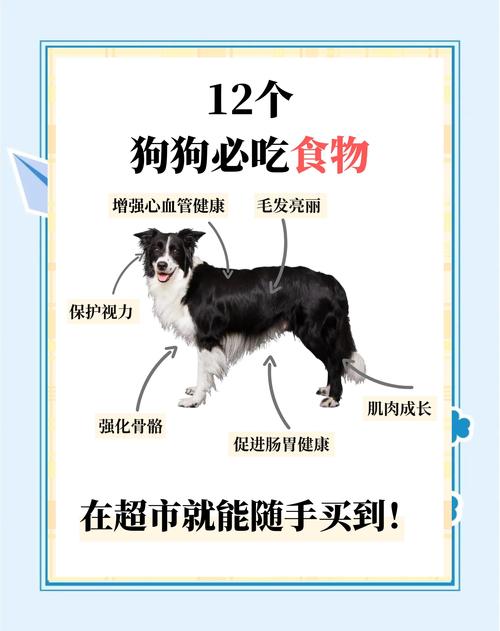 科学喂养助狗狗增重,营养均衡是关键!(狗子吃什么长肉) 科学喂养助狗狗增重,营养均衡是关键!(狗子吃什么长肉)