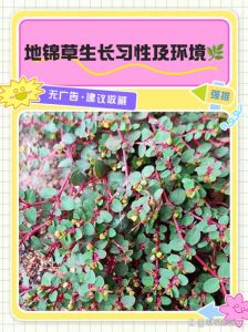 地狗子是啥？艾鼬蛴螬还是知了猴？（地狗子学名叫什么）