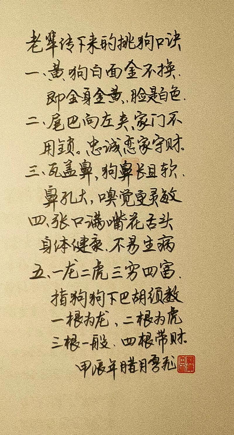 胡须龙虎,瓦盖鼻,中间尾,花舌头,黄狗白脸(挑选狗狗的口诀) 胡须龙虎,瓦盖鼻,中间尾,花舌头,黄狗白脸(挑选狗狗的口诀)