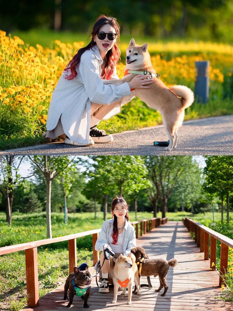 空姐收养阿根廷流浪狗,跨越国境的爱心之旅(宠物狗和美女配对成功) 空姐收养阿根廷流浪狗,跨越国境的爱心之旅(宠物狗和美女配对成功)