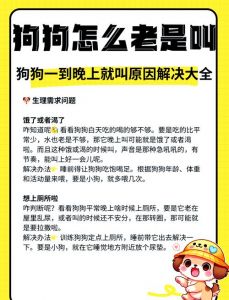 温顺活泼强势，给爱宠找家！（小狗提起来叫好吗）