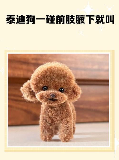 狗狗一碰就叫怎么办?(狗狗一碰就叫怎么办) 狗狗一碰就叫怎么办?(狗狗一碰就叫怎么办)