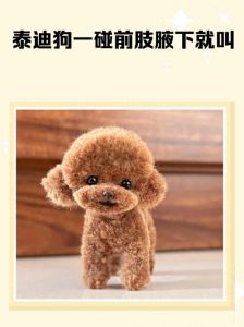 狗狗一碰就叫怎么办？（狗狗一碰就叫怎么办）
