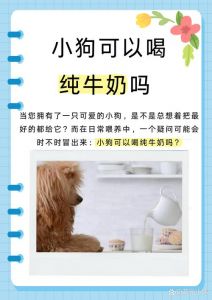 狗狗喝驼奶好消化？选羊奶粉！（狗狗喝奶粉好吗）