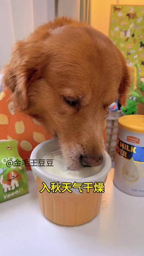 选狗狗羊奶粉,看奶源和营养,选A2更佳!(狗狗喝的羊奶粉有哪些) 选狗狗羊奶粉,看奶源和营养,选A2更佳!(狗狗喝的羊奶粉有哪些)
