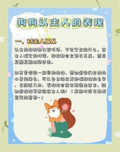 时光印记与情感对话的玩具（四爱小狗哭着求主人不要责了）