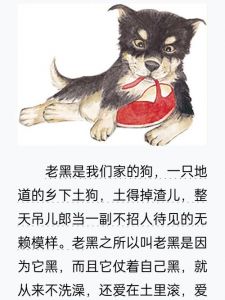 忠诚守护，责任与安全感（梦到大黑狗很温顺跟我很亲）