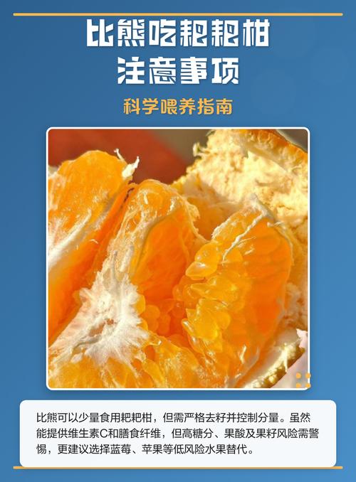 粑粑柑可喂狗,去皮去籽控量,注意肠胃(狗狗可以吃粑粑柑吗) 粑粑柑可喂狗,去皮去籽控量,注意肠胃(狗狗可以吃粑粑柑吗)
