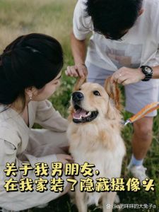 忙到男友跑，养狗后琬真生活大变！（男朋友当小狗叫我妈妈电影）