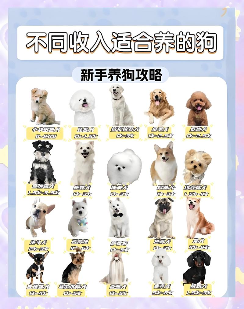 选对狗狗很关键,别让掉毛和捣乱糟心(小狗的品种及图片) 选对狗狗很关键,别让掉毛和捣乱糟心(小狗的品种及图片)