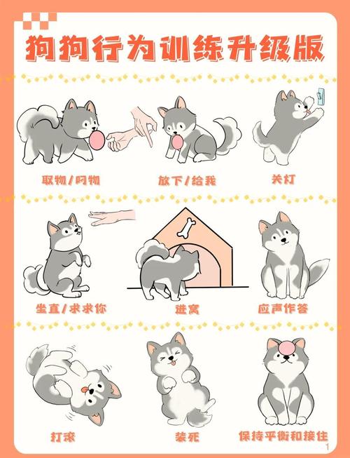 大小姐被虐成狗,记忆审判真相曝光(训犬师把千金大小姐训成狗) 大小姐被虐成狗,记忆审判真相曝光(训犬师把千金大小姐训成狗)