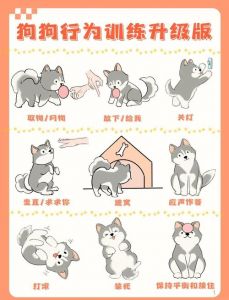 大小姐被虐成狗，记忆审判真相曝光（训犬师把千金大小姐训成狗）