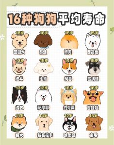 科学喂养免疫安全（狗子5个月相当于人几岁）