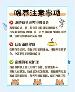 结合传统智慧与现代科学挑选健康宠物（怎么挑选宠物狗）
