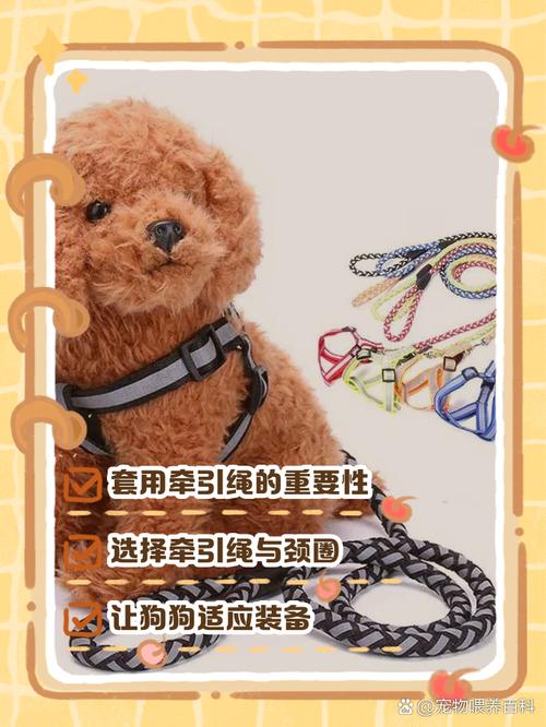脖圈与肩背带怎么选?(狗咖小狗绑着带子干什么用的) 脖圈与肩背带怎么选?(狗咖小狗绑着带子干什么用的)