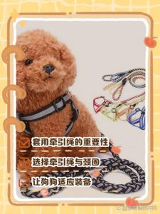 脖圈与肩背带怎么选？（狗咖小狗绑着带子干什么用的）