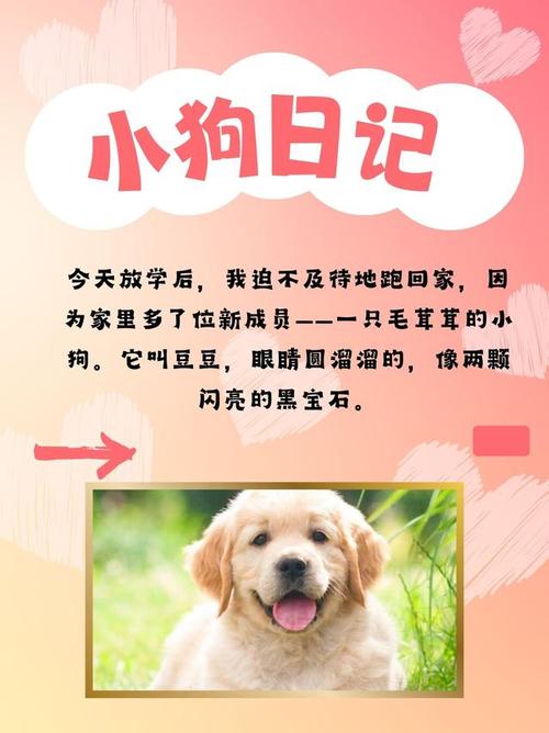 健康活泼小妙招(小狗任务清单100图) 健康活泼小妙招(小狗任务清单100图)