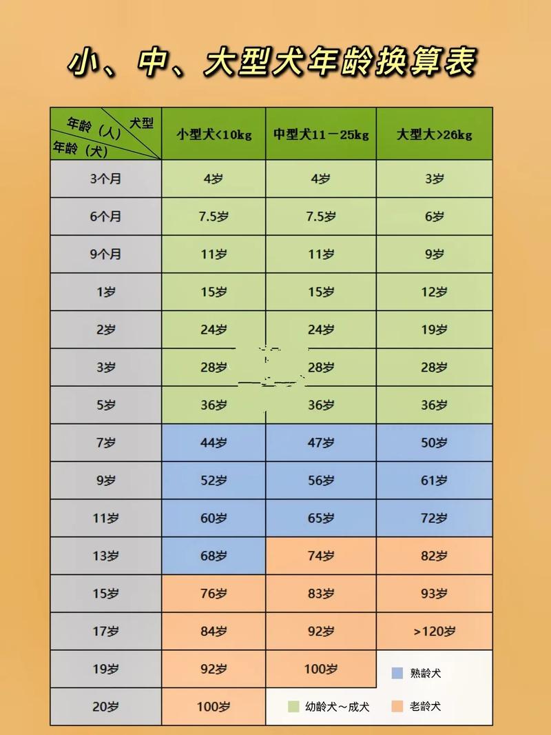 不同体型老得不一样(狗子一年相当于人几岁) 不同体型老得不一样(狗子一年相当于人几岁)