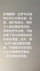 孕妇梦狗狗，预示母子情与胎宝宝健康（孕妇总是梦到狗狗）