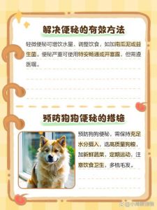 狗狗便秘？蜂蜜酸奶试试，长期看兽医！（狗狗便秘拉不出粑粑怎么办）