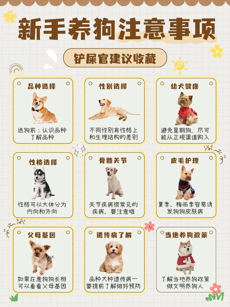 选狗狗看耳朵尾巴眼神,选对伴儿!(挑狗小技巧) 选狗狗看耳朵尾巴眼神,选对伴儿!(挑狗小技巧)