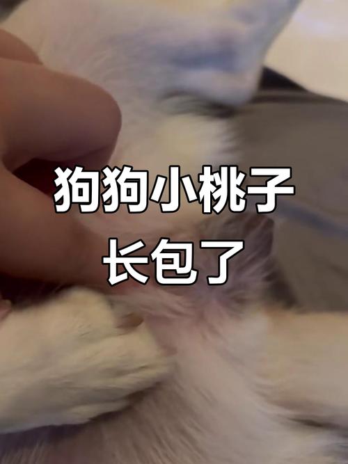 田野猛兽与失落文化(狗挑子是什么东西) 田野猛兽与失落文化(狗挑子是什么东西)