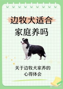 扭曲关系权力较量（狗狗的第一主人和第二主人）
