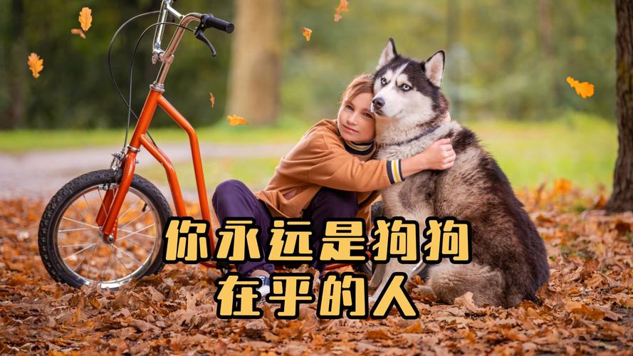 狗狗舍身护主,忠诚感动人心(狗狗与主人发生过的感人故事) 狗狗舍身护主,忠诚感动人心(狗狗与主人发生过的感人故事)