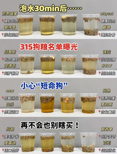 高蛋白易消化,关注关节毛发,推荐品牌(如何给秋田狗狗挑选狗粮技巧) 高蛋白易消化,关注关节毛发,推荐品牌(如何给秋田狗狗挑选狗粮技巧)