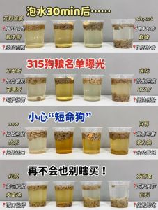高蛋白易消化，关注关节毛发，推荐品牌（如何给秋田狗狗挑选狗粮技巧）