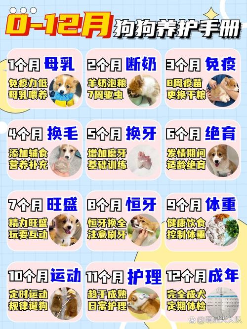 没满月小狗养护关键点(没满月的小狗怎么养) 没满月小狗养护关键点(没满月的小狗怎么养)