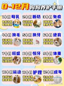 没满月小狗养护关键点（没满月的小狗怎么养）