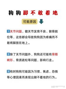 狗狗脚疼跛行？快查伤检查关节！（狗子为啥一只脚不着地）